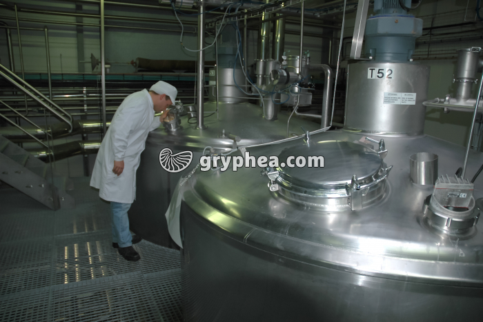 Fabrication du fromage - Contrôle visuel des cuves de fermentation  - gryphea.org